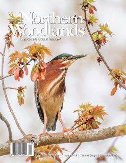 Cover Northern Woodlands with review